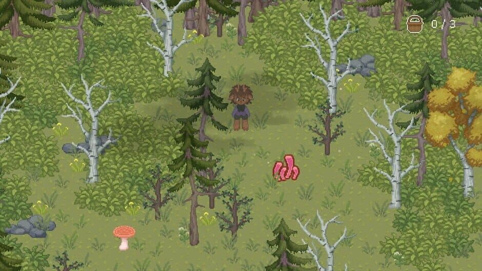 The Mushroom Journal screenshot 4