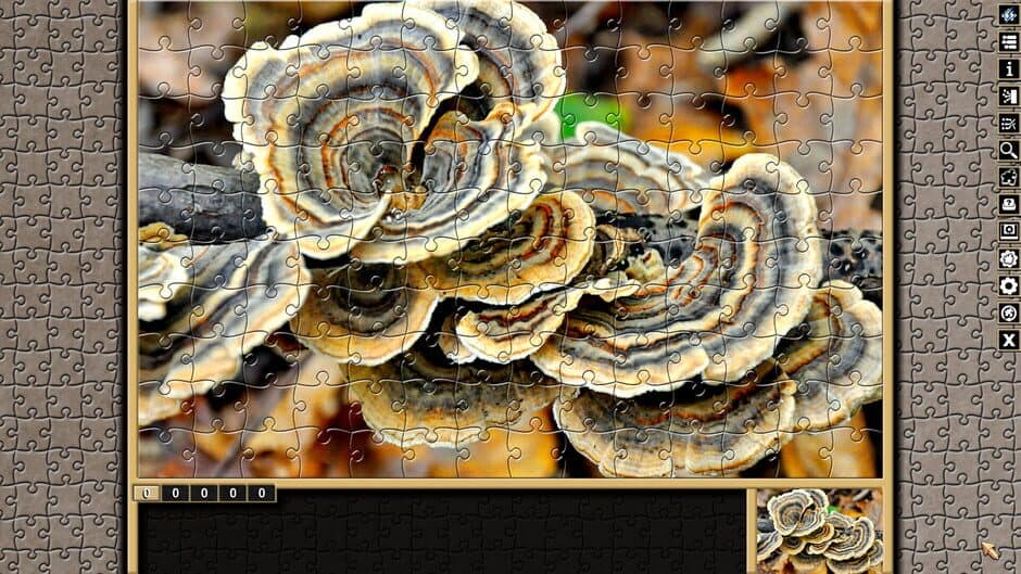 Pixel Puzzles Traditional Jigsaws: Forests screenshot 3