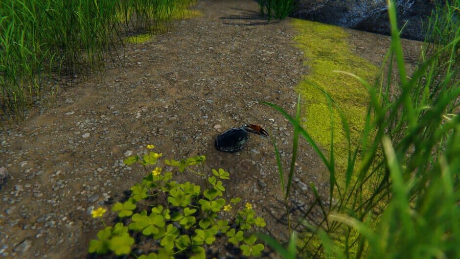 Strong Crab screenshot 6