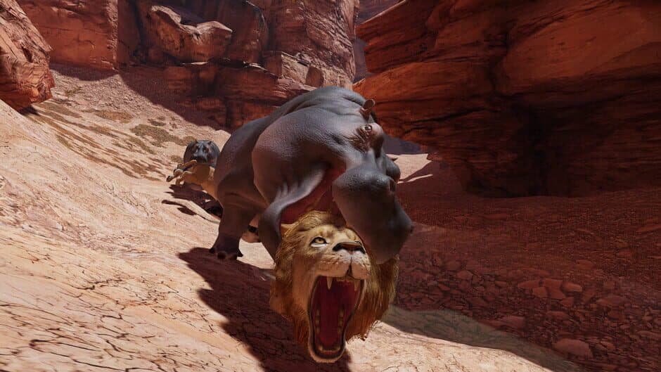 Food Chain screenshot 4