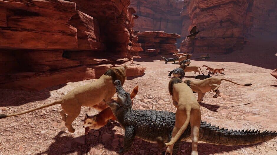 Food Chain screenshot 3