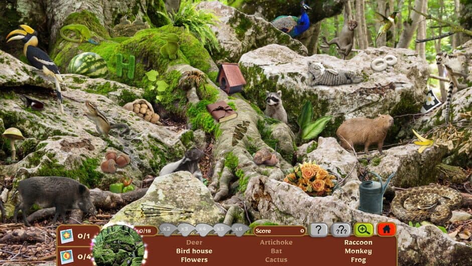 Nature Escapes 5: Collector's Edition screenshot 1