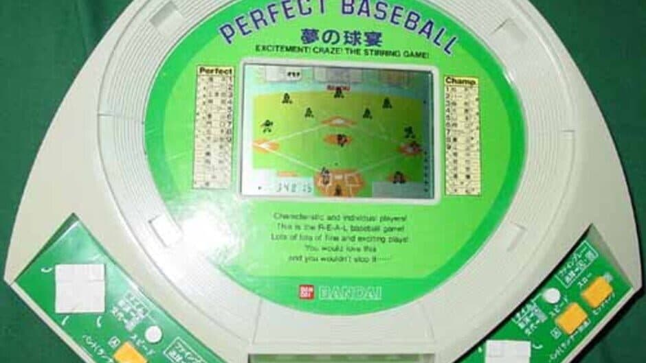 Perfect Baseball: Excitement! Craze! The Stirring Game! screenshot 1