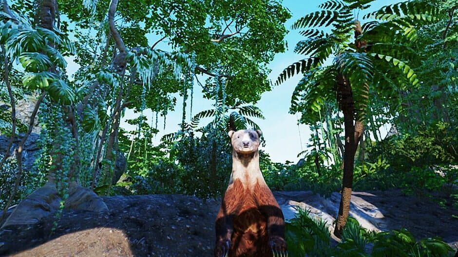 VR Animal Kids Rumble screenshot 2