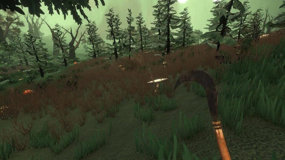 Forester Simulator 2026: Mushroom Hunting screenshot 2