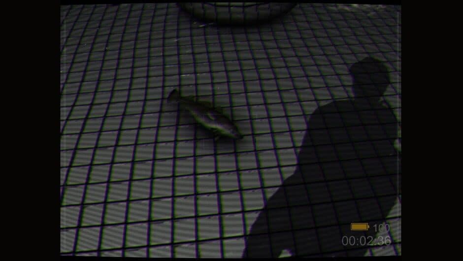 Backrooms: Poolrooms screenshot 6