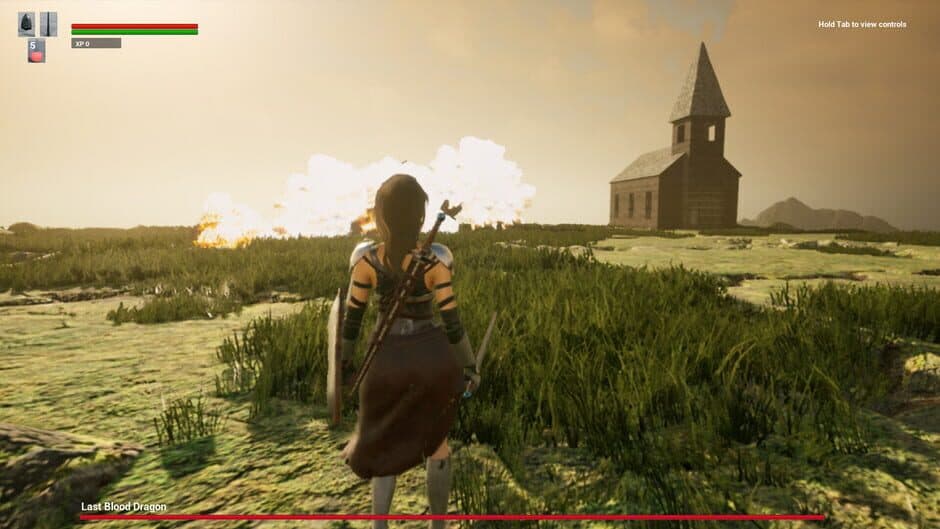 Assassin of Dragon screenshot 1