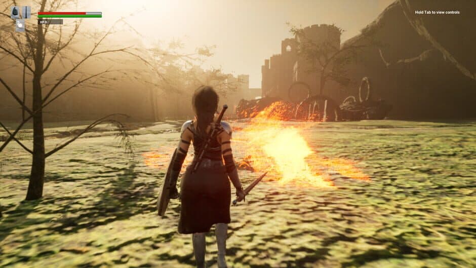 Assassin of Dragon screenshot 2