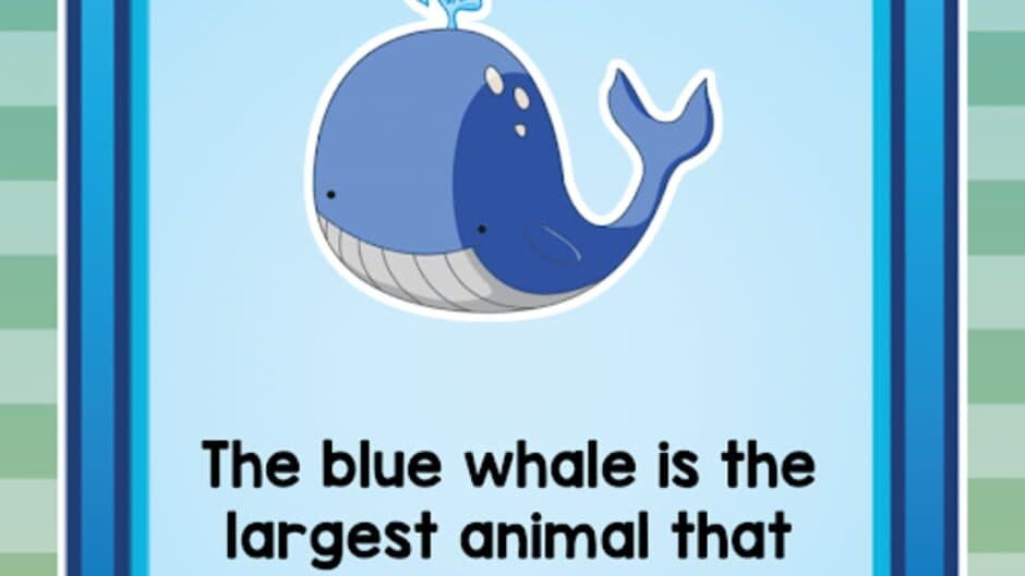 Memory: Match & Catch! screenshot 1