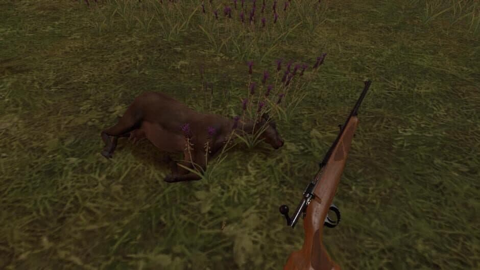 Hunting Simulator VR screenshot 6