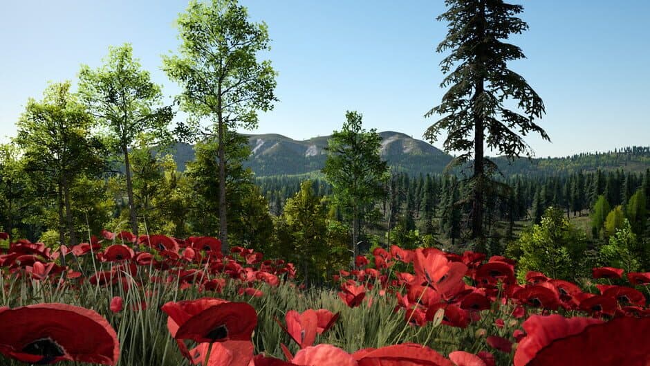 New Life screenshot 6