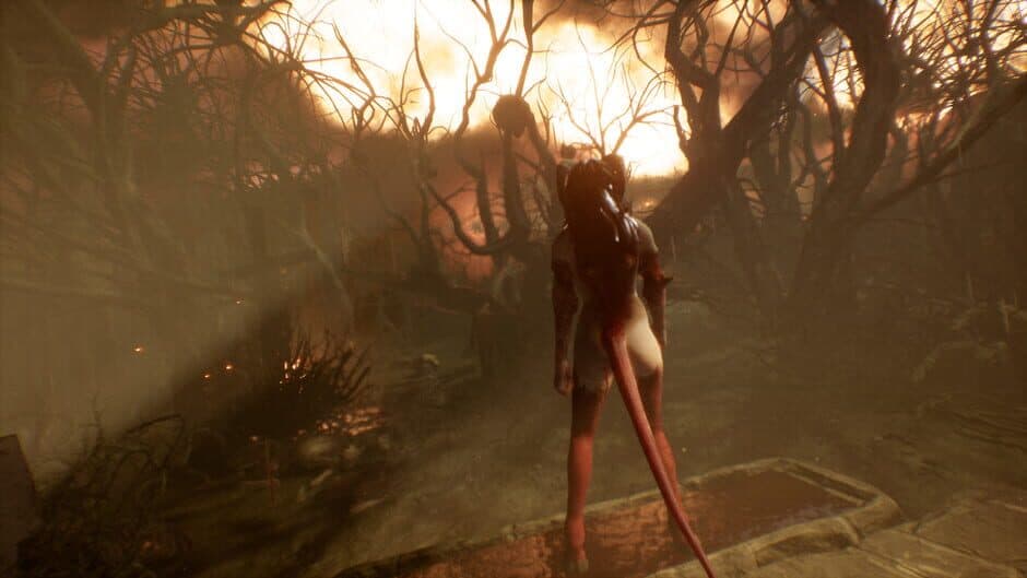 Succubus screenshot 5
