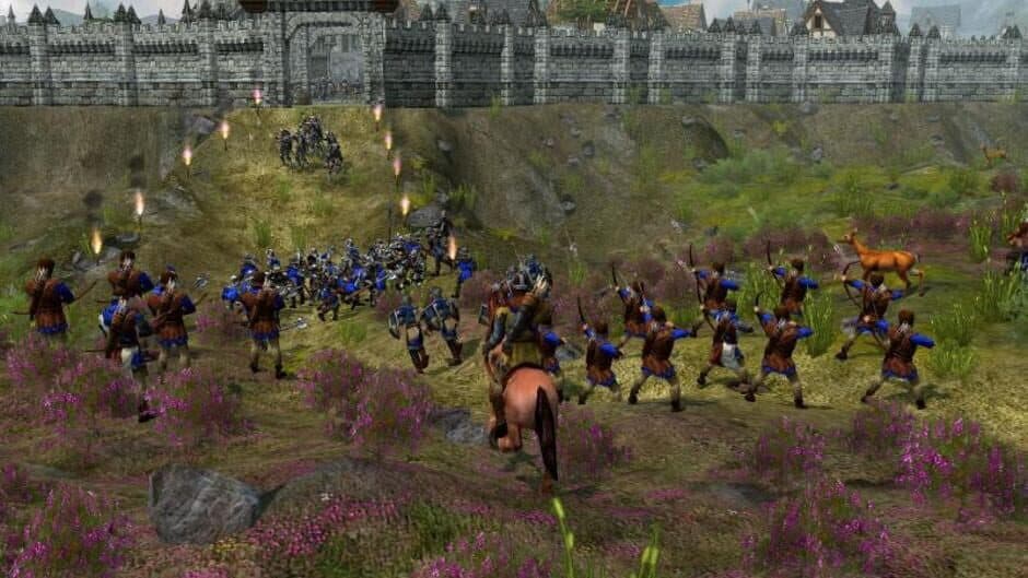 The Settlers : Heritage of Kings - History Edition screenshot 2