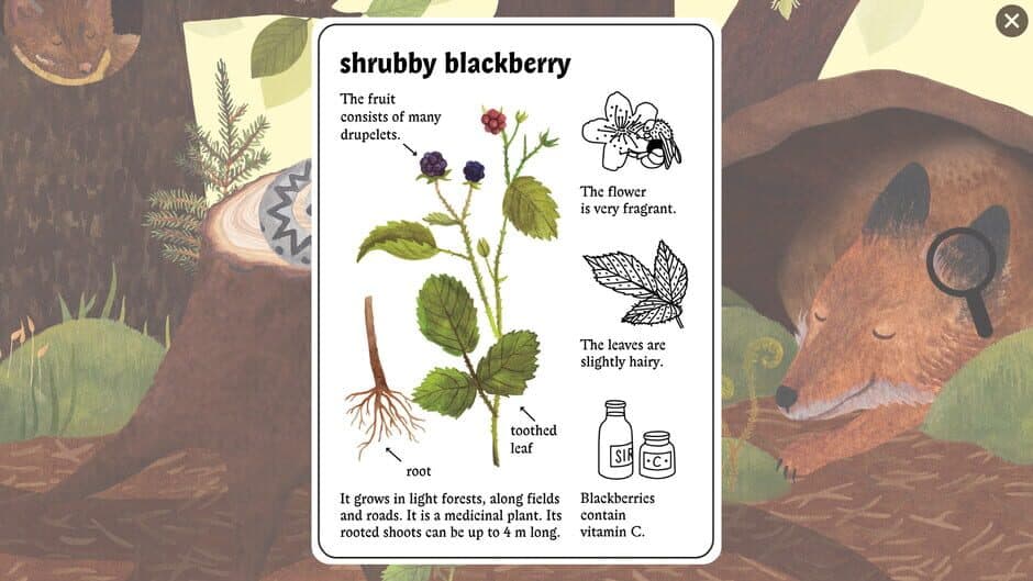 Little Mouse's Encyclopedia screenshot 4