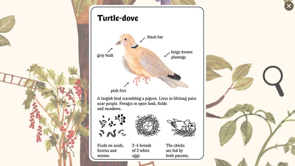 Little Mouse's Encyclopedia screenshot 2