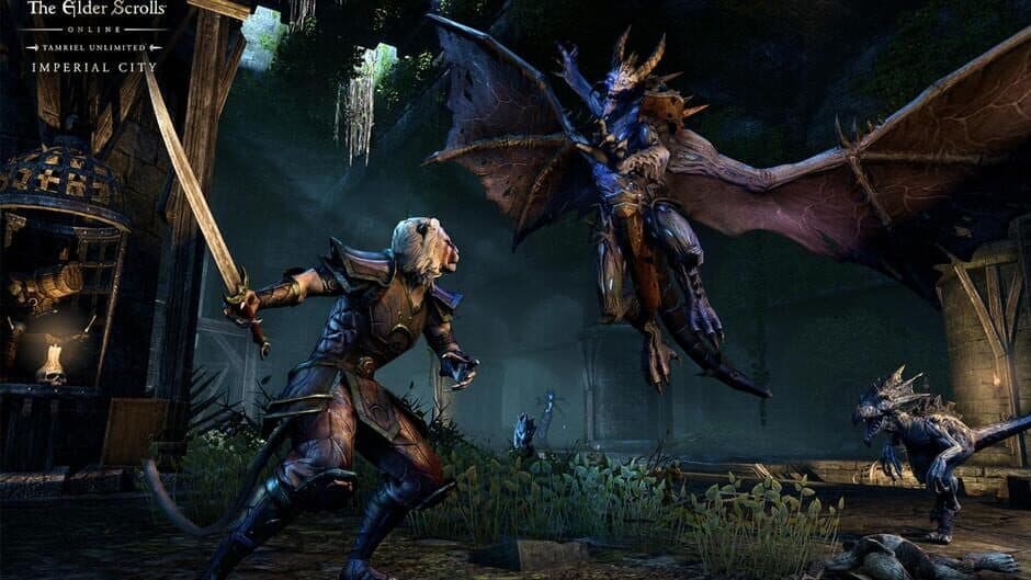 The Elder Scrolls Online: Imperial City screenshot 2