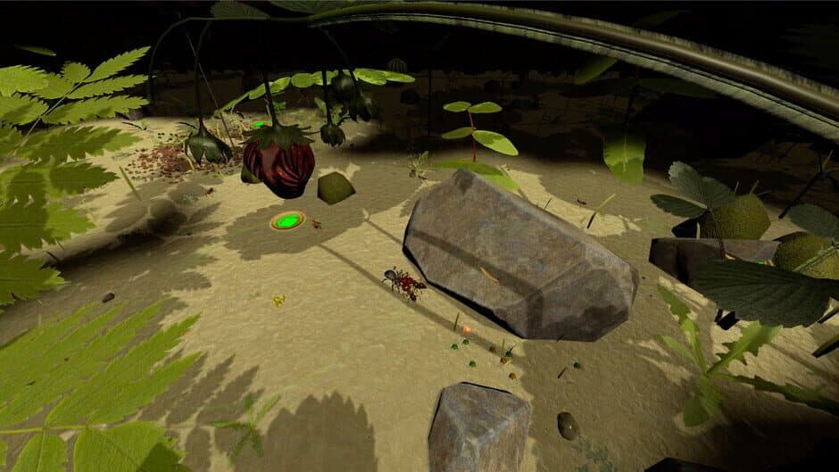 AntQueen 3D screenshot 3