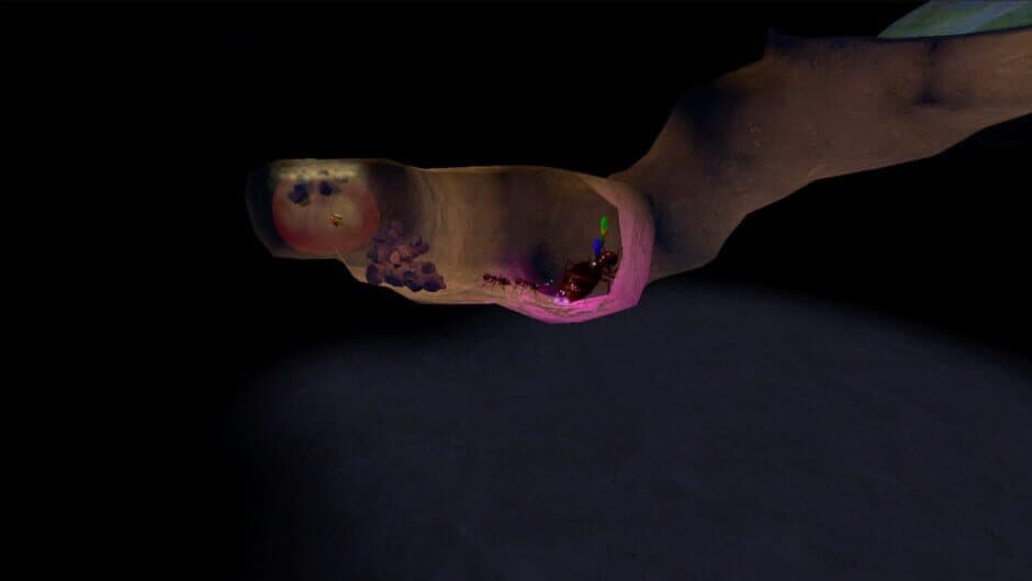 AntQueen 3D screenshot 4