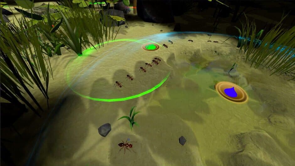 AntQueen 3D screenshot 6