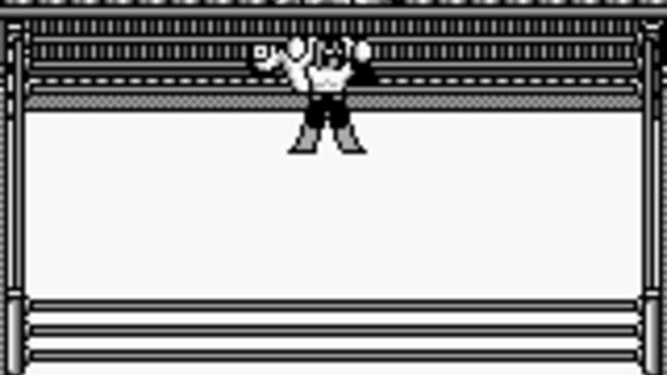 Hal Wrestling screenshot 3