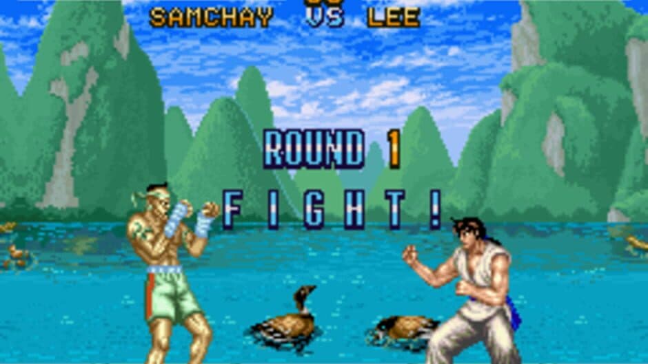 Fighter's History screenshot 3