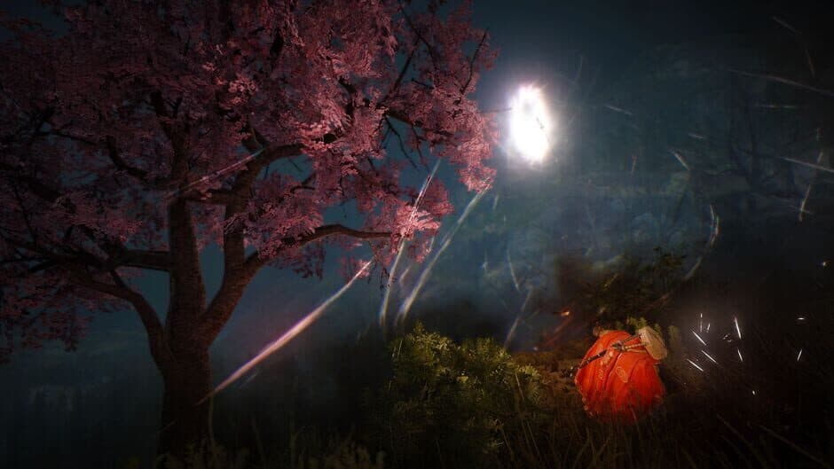 Black Desert screenshot 1