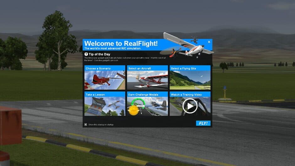 RealFlight 9 screenshot 2