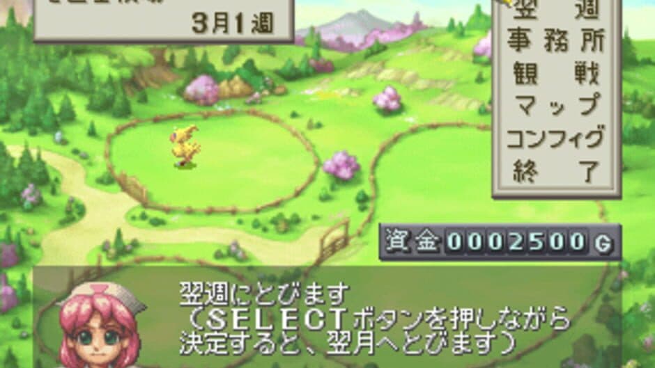 Chocobo Stallion screenshot 2