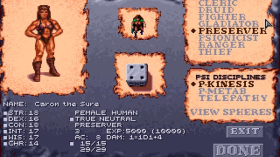 Dark Sun: Shattered Lands screenshot 3