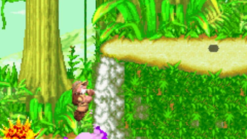 Sabre Wulf screenshot 2