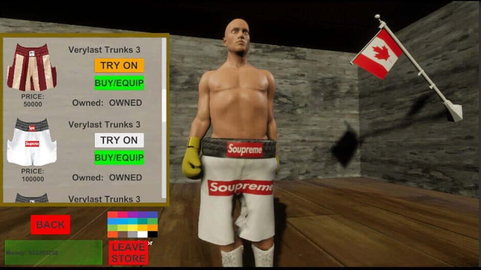 Art of Boxing screenshot 2