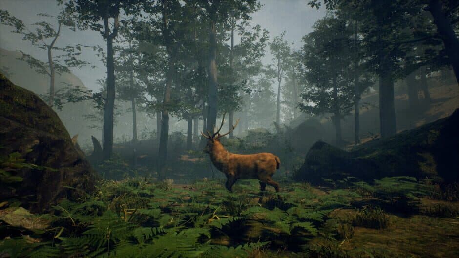 Folklore Hunter screenshot 4