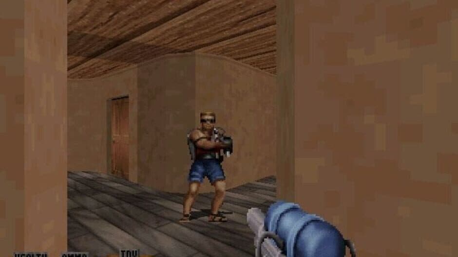 Duke Caribbean: Life's a Beach screenshot 5