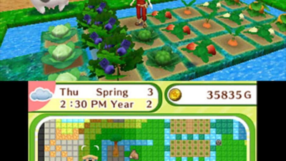 Harvest Moon: Skytree Village screenshot 4