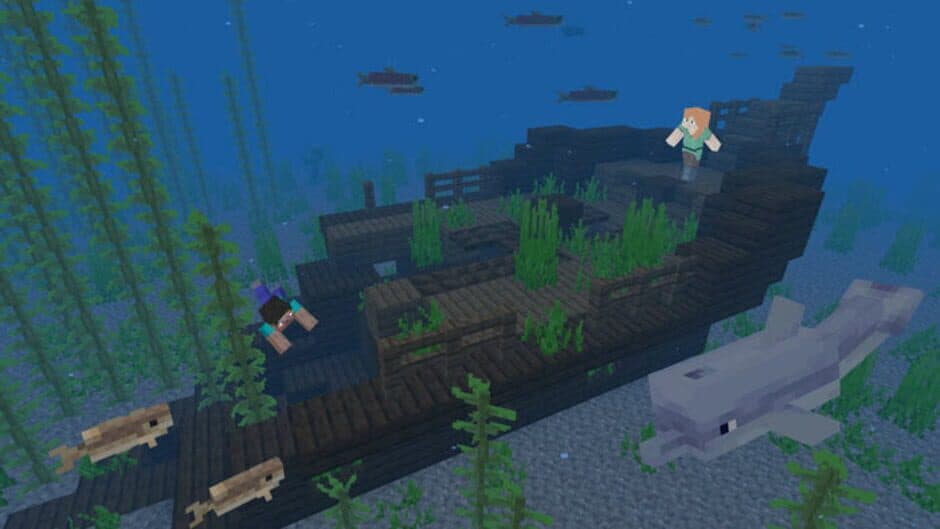 Minecraft screenshot 6