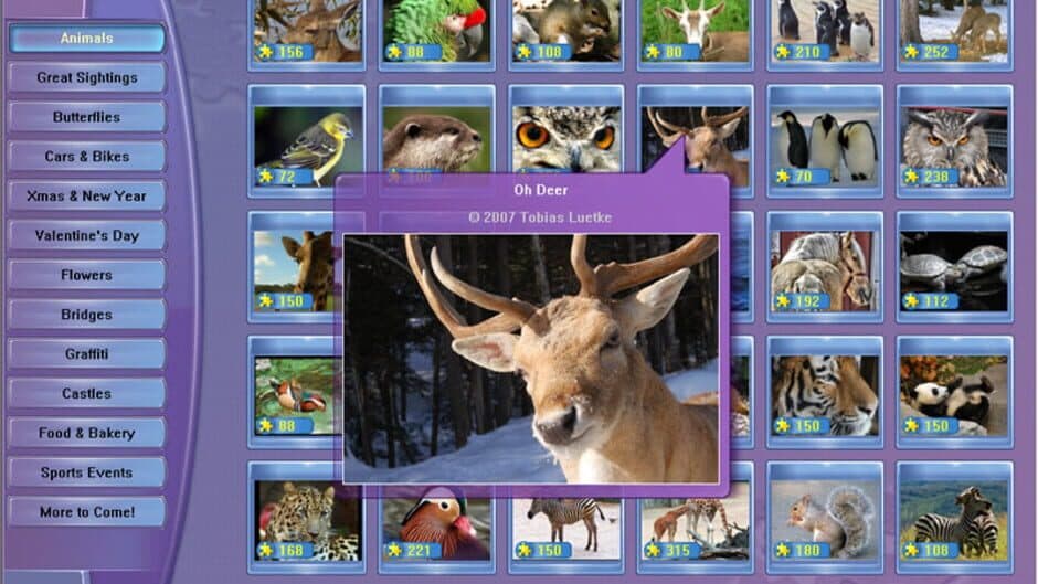 Everyday Jigsaw screenshot 5