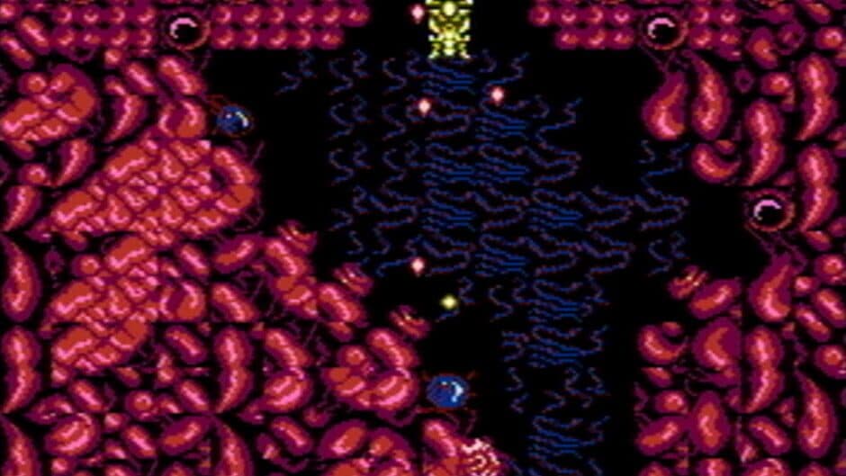 Abadox: The Deadly Inner War screenshot 4