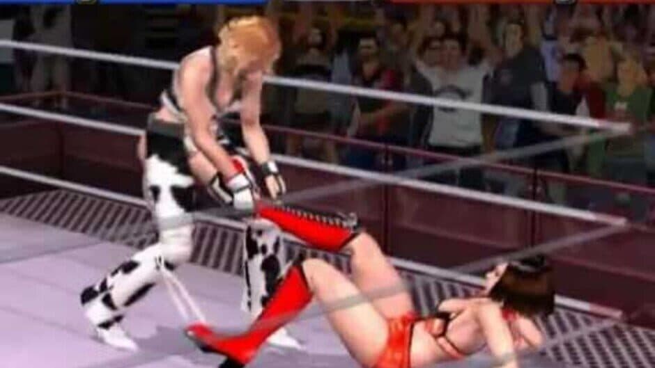 Rumble Roses screenshot 2