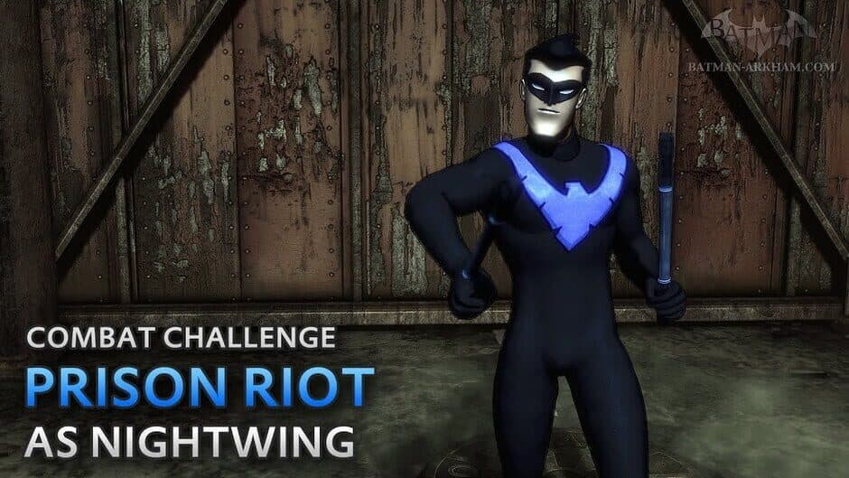 Batman: Arkham City - Nightwing Bundle screenshot 1