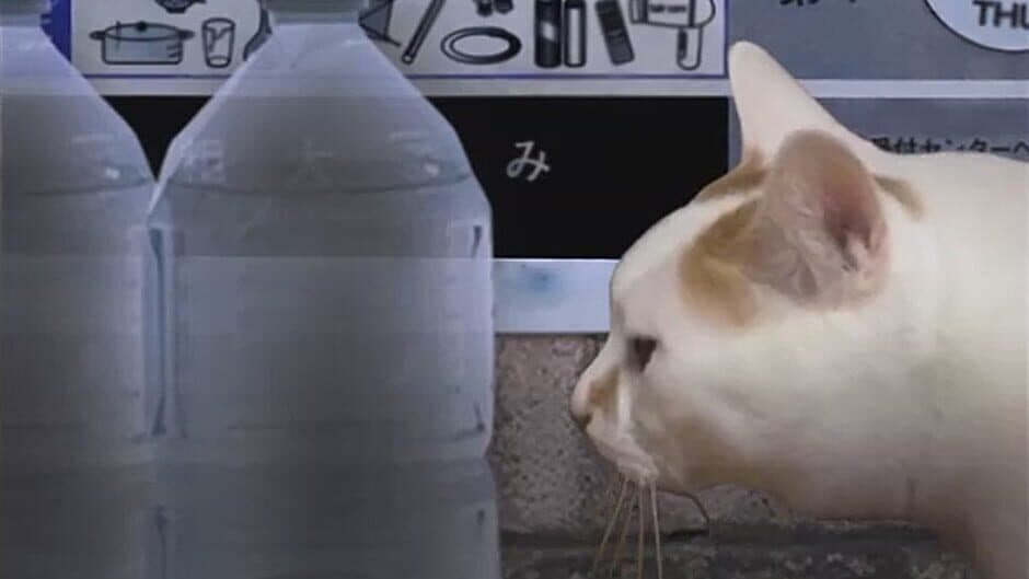 Tsugunohi screenshot 2