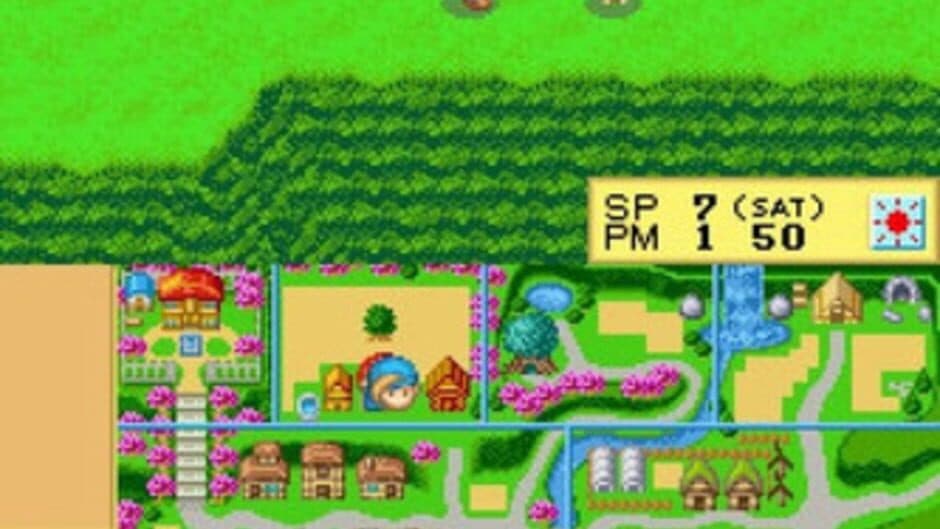 Harvest Moon DS screenshot 3