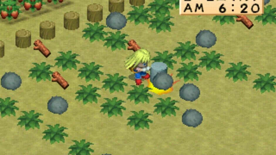 Harvest Moon for Girl screenshot 3
