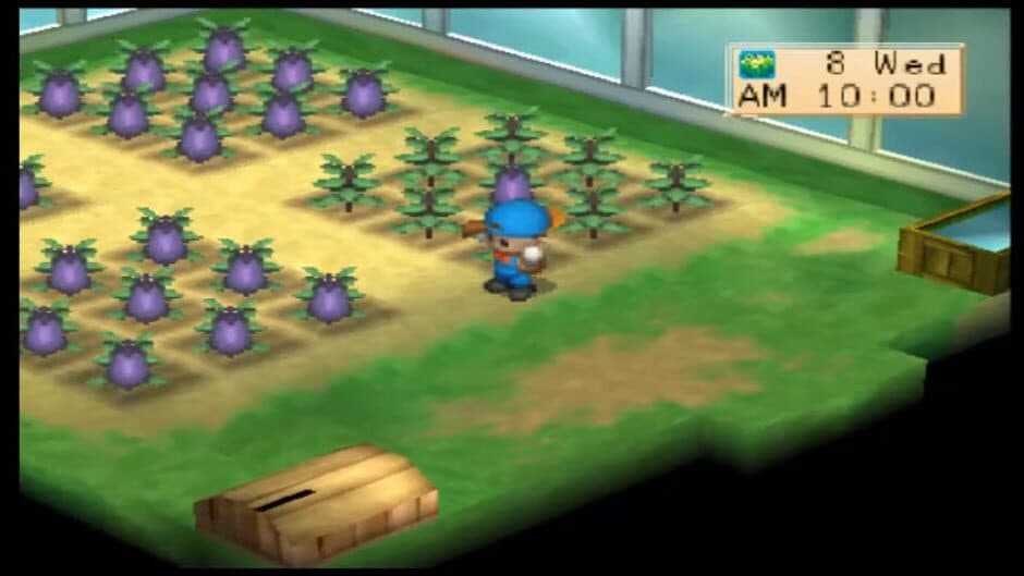 Harvest Moon: Boy & Girl screenshot 1