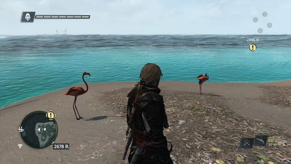 Assassin's Creed IV: Black Flag - Buccaneer Edition screenshot 3