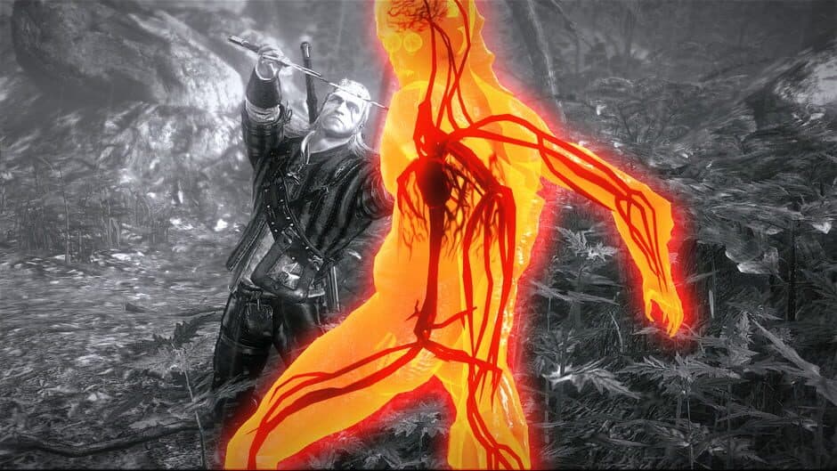 The Witcher 2: Assassins of Kings - Premium Edition screenshot 2