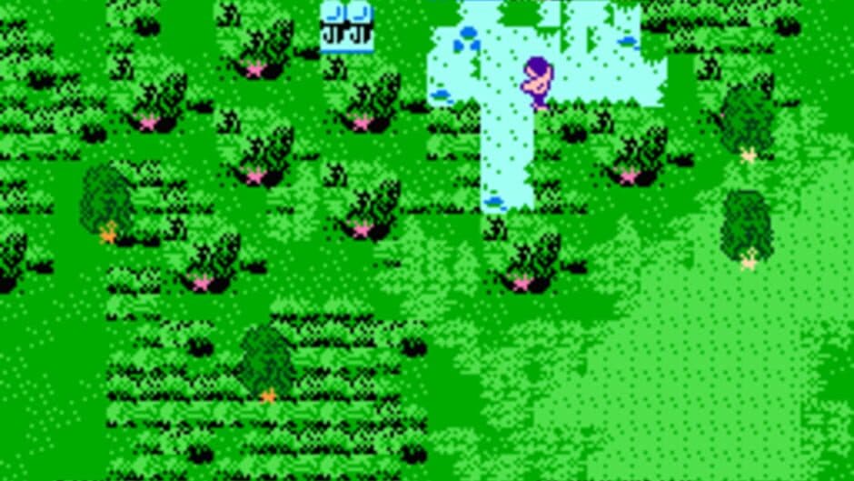 Super Hydlide screenshot 3