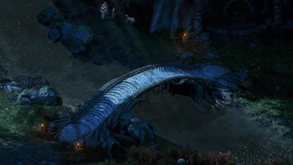 Pillars of Eternity: Hero Edition screenshot 6