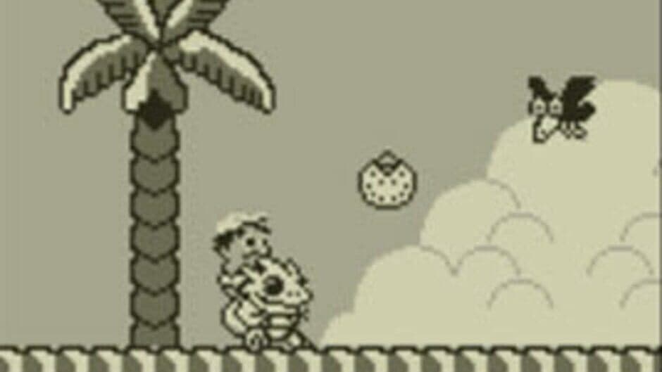 Adventure Island screenshot 3