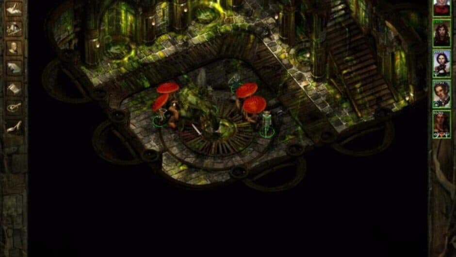 Icewind Dale: Heart of Winter screenshot 3