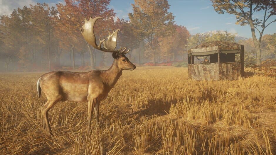 TheHunter: Call of the Wild - Tents & Ground Blinds screenshot 3